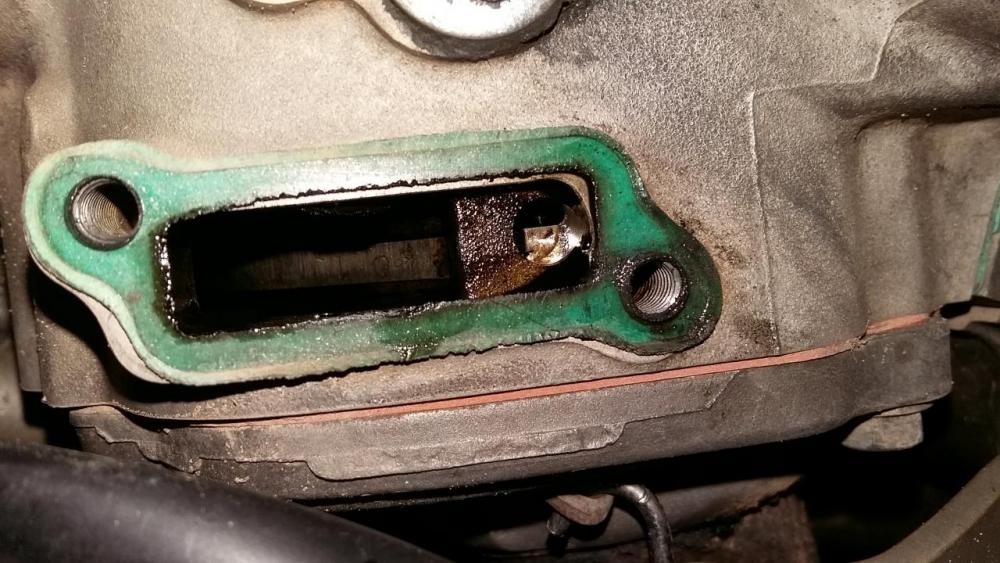 20160226_150445.thumb.jpg.855946d306c405