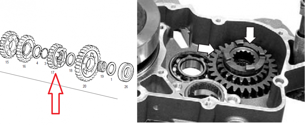 5.thumb.png.392421e971f8167df68541c9910a