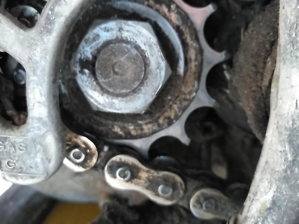 IMG_20160216_150221.thumb.jpg.3440ec9c20