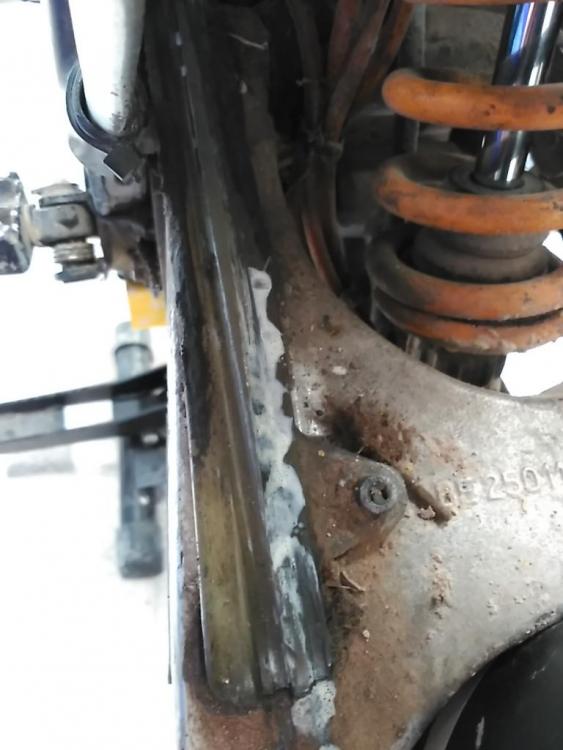 IMG_20160216_150636.thumb.jpg.9c0242e820