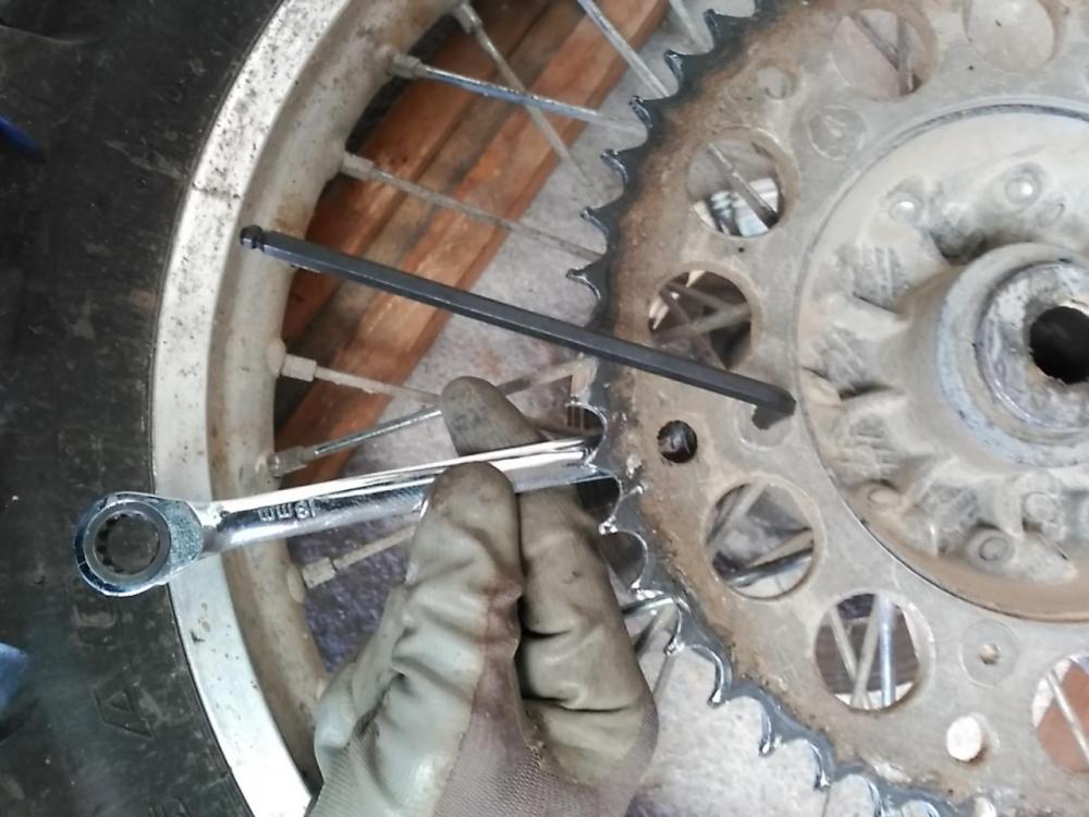 IMG_20160216_153857.thumb.jpg.f4327b8989