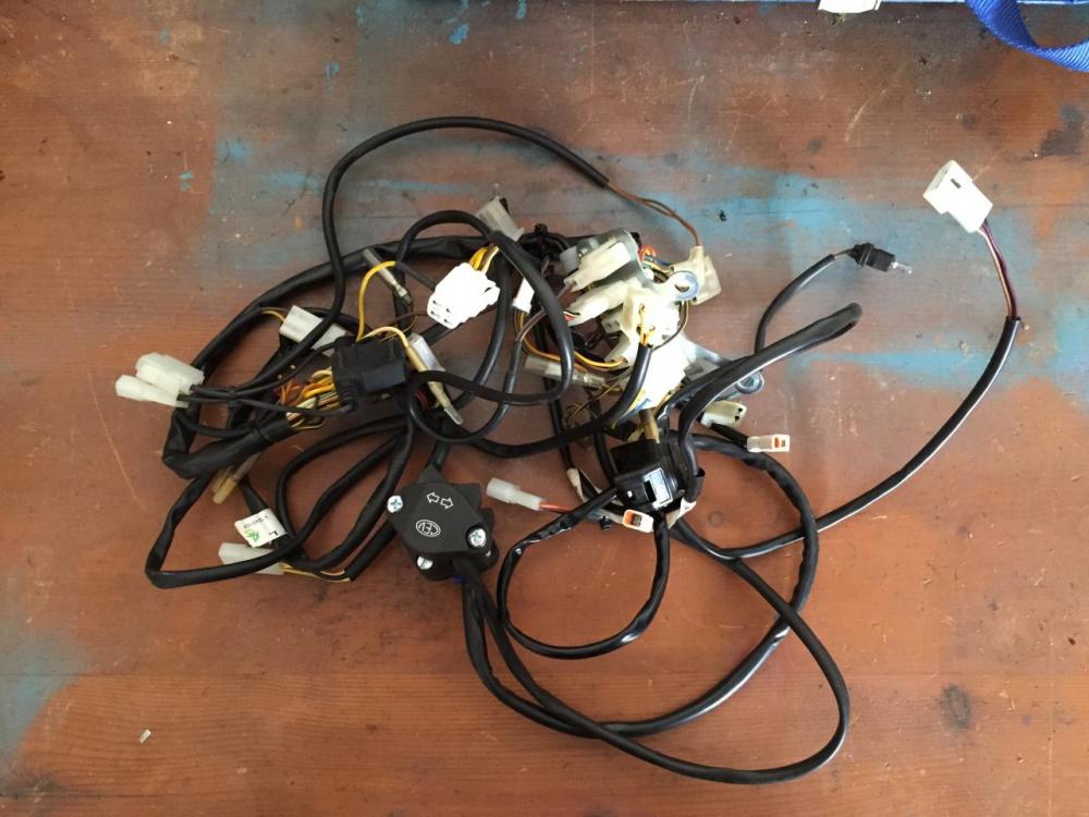 IMG_3960.thumb.JPG.1af4fe605a689175eaf14