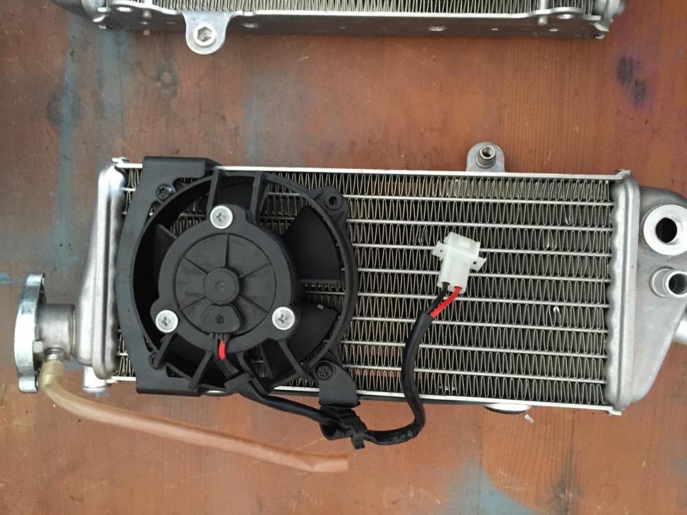 IMG_3967.thumb.JPG.f3d32518cd49d76597efe