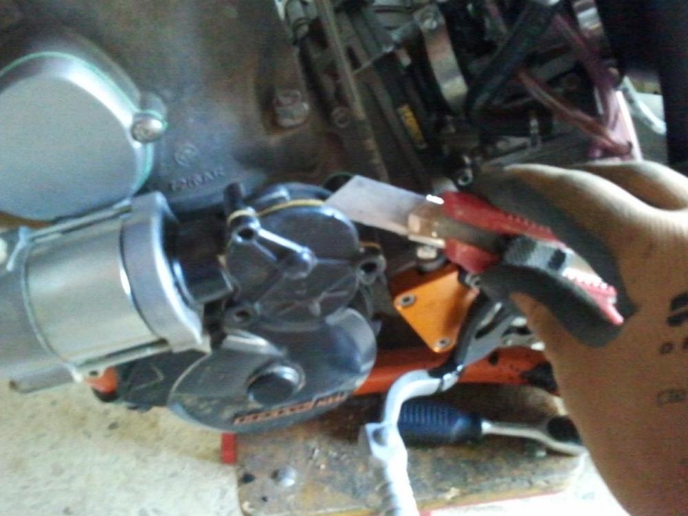 post-23877-14546037454025.thumb.jpg.c3b7