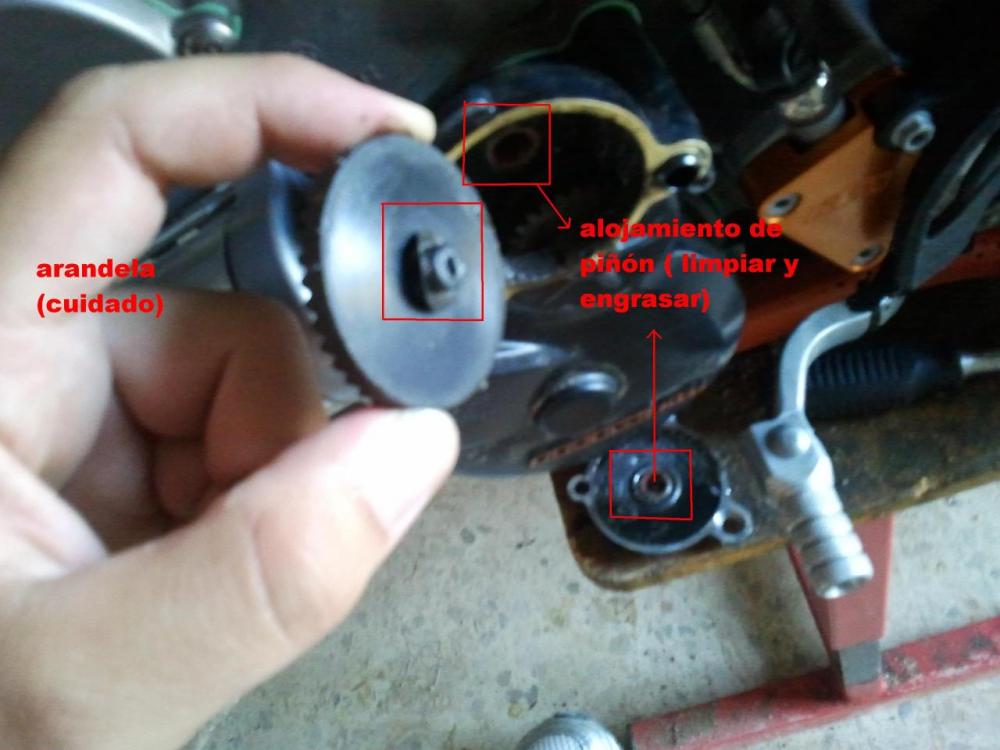 post-23877-14546037456779.thumb.jpg.17a0