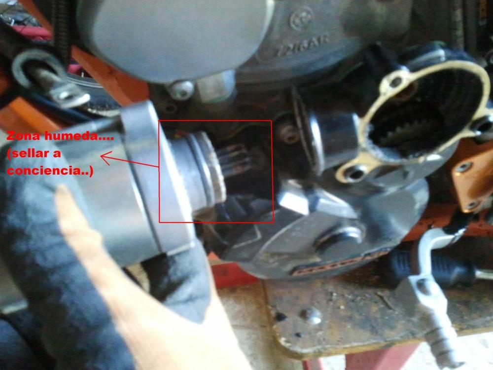 post-23877-1454603745798.thumb.jpg.cfcd5