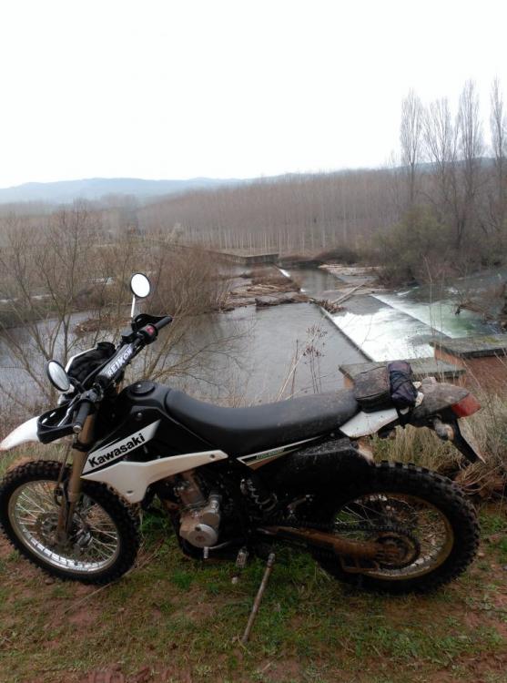 738.thumb.jpg.8c8a729052300a194ec13ecfc0