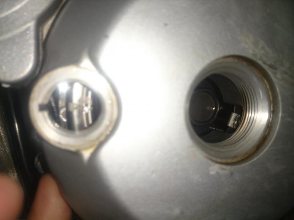 DSC_0421.thumb.JPG.7f95bbf89fef3c47161ea