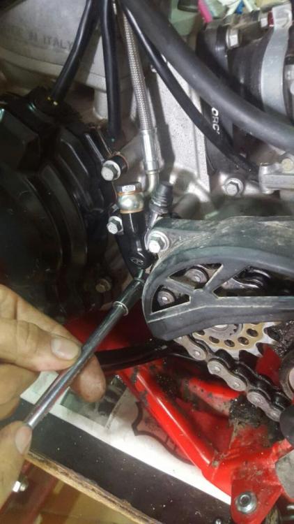 IMG-20160316-WA0004.thumb.jpg.5c8aa70d8e