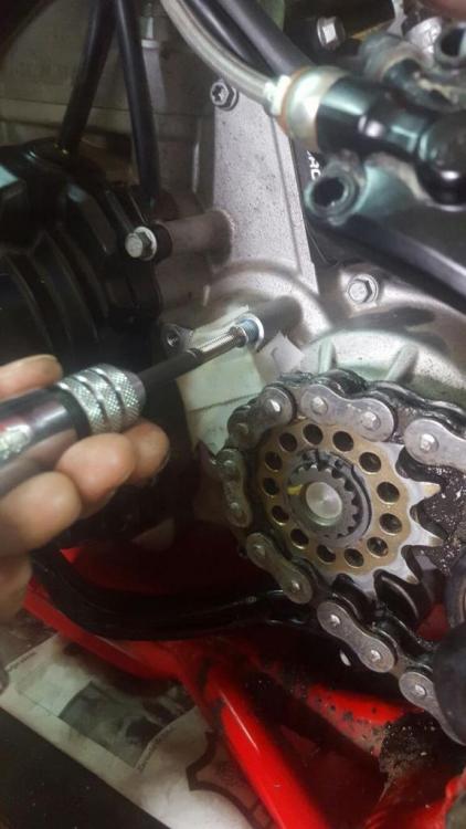 IMG-20160316-WA0005.thumb.jpg.a91440e410