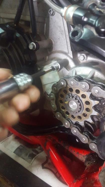 IMG-20160316-WA0006.thumb.jpg.2300417464