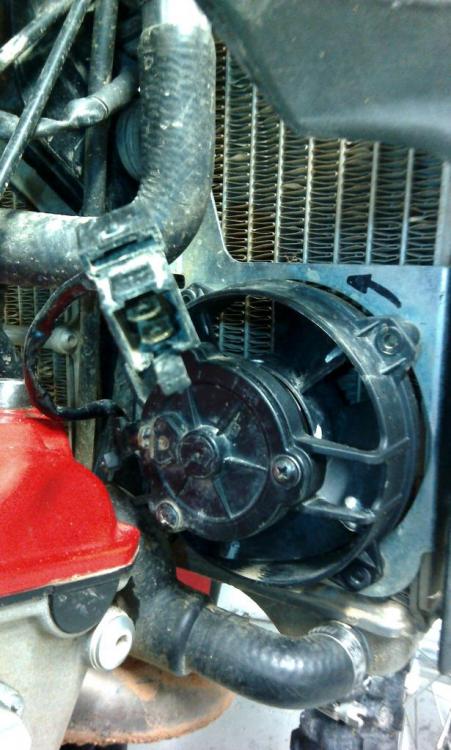 IMG_20160317_105950.thumb.jpg.3561291200