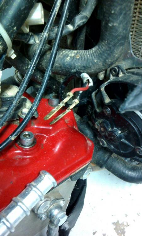 IMG_20160317_110709.thumb.jpg.dea40906c0