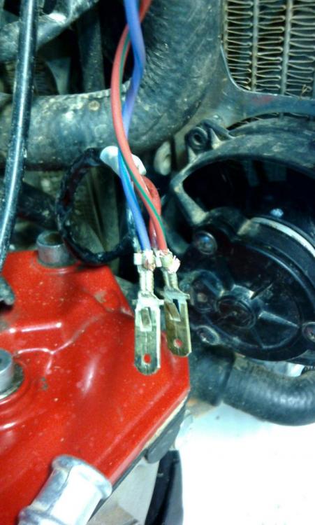 IMG_20160317_111258.thumb.jpg.839051b7eb