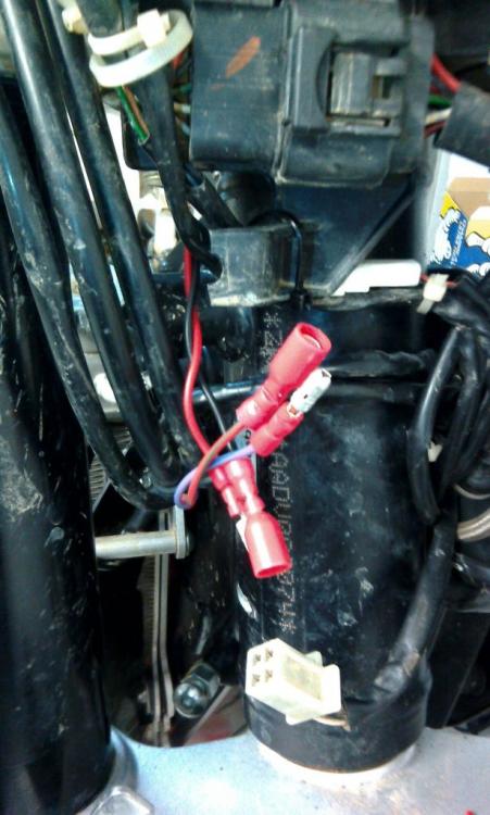 IMG_20160317_115557.thumb.jpg.bee22c8130