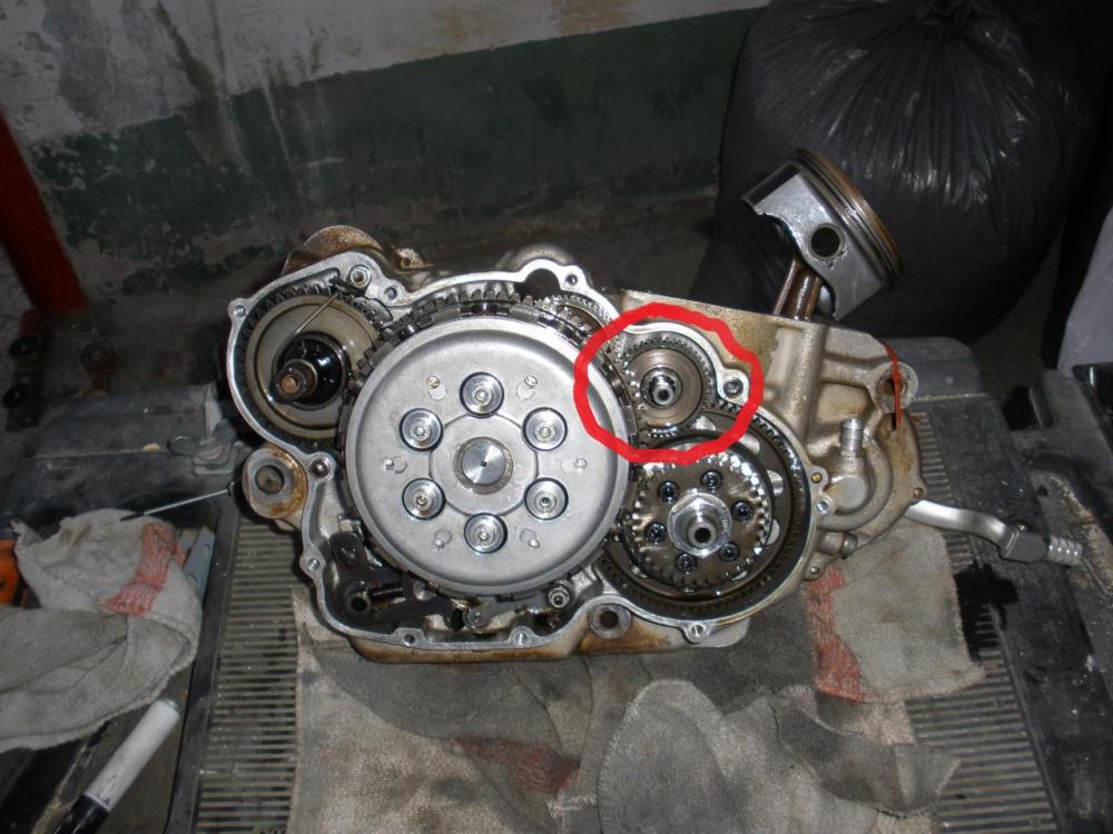 P3100069.thumb.JPG.a786eb5e3ca590e6ece2c