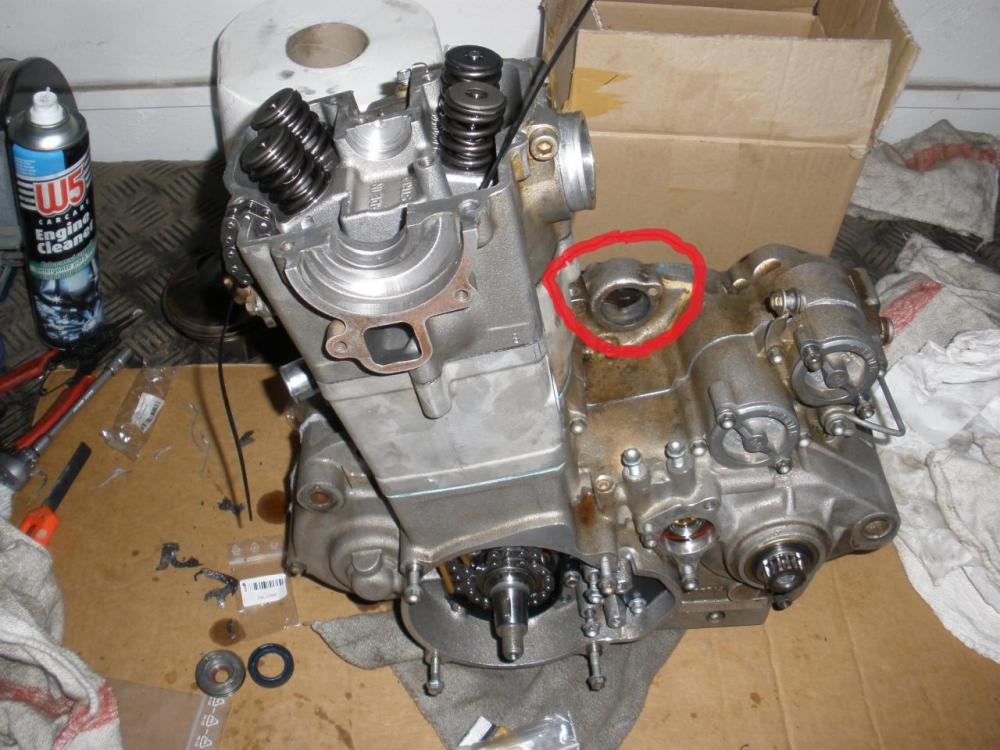 P3170015.thumb.JPG.4a2080550197a1643902f