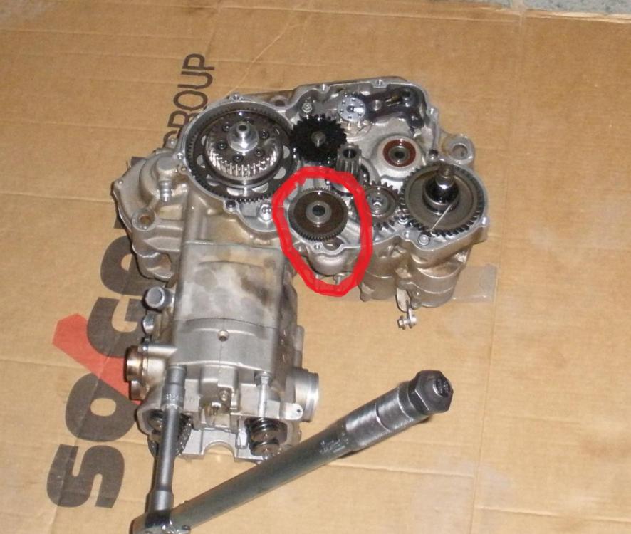 P3170016.thumb.JPG.d4639cc3de5bd5c3e44b4