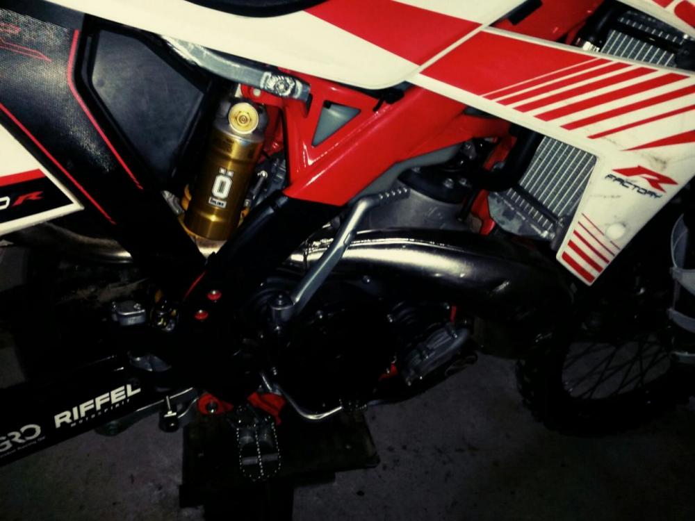 M04- GAS GAS EC 300 Racing 2013 (14).jpg