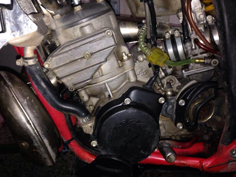 WhatsApp-Image-20160620 (3).jpg