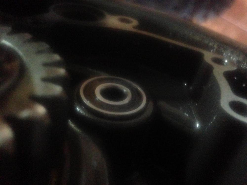 image.jpeg