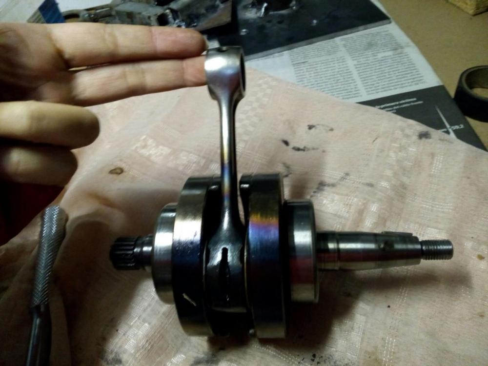 WhatsApp Image 2016-11-11 at 19.50.09.jpeg