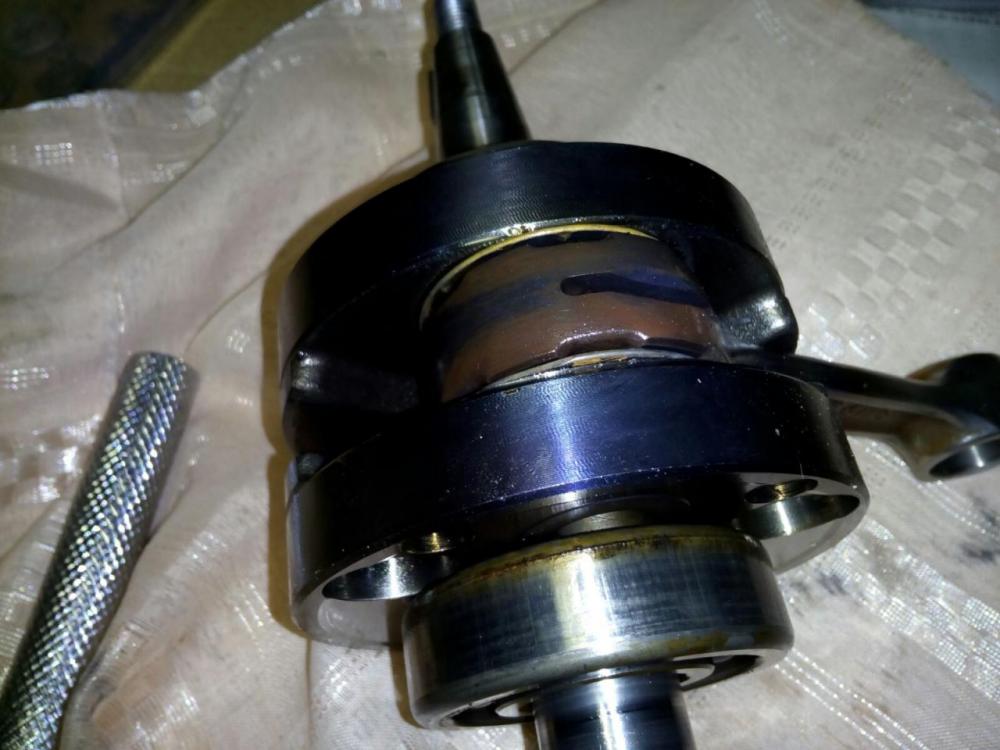 WhatsApp Image 2016-11-11 at 19.50.09 (1).jpeg