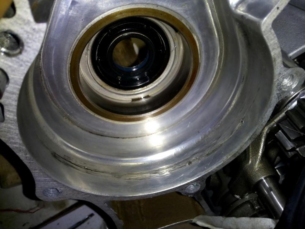 WhatsApp Image 2016-11-11 at 19.50.09 (2).jpeg