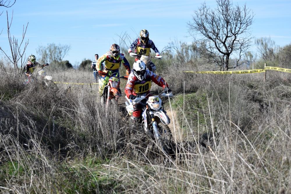 _DSC0682 (Medium).JPG